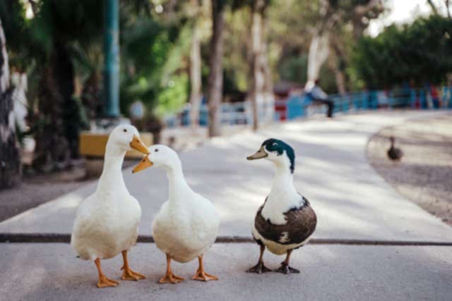 josue-michel-unsplash-phras.jpg