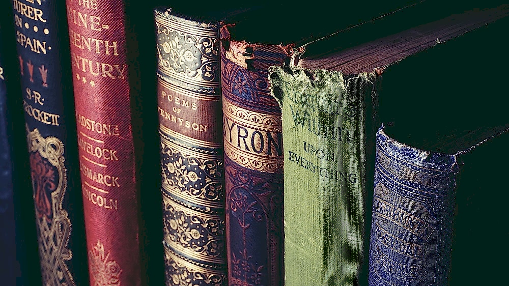 literature -suzy-hazelwood