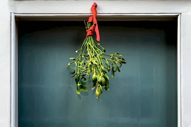 paul-zoetemeijer-unsplash.jpg